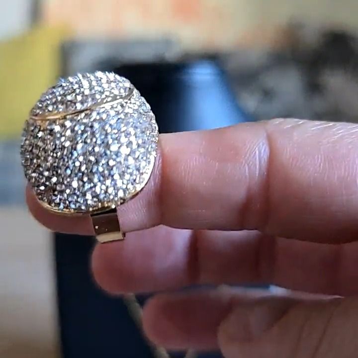 Anillo gordo image 1