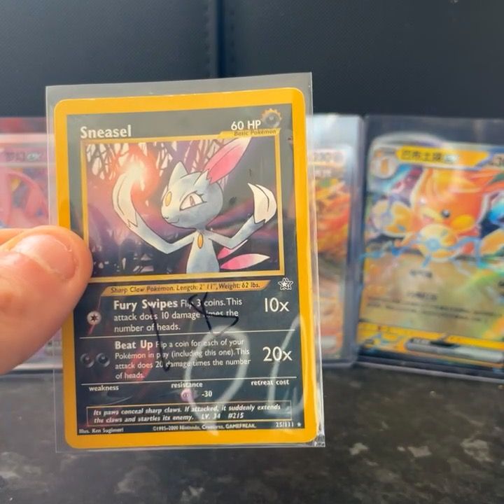 sneasel image 1