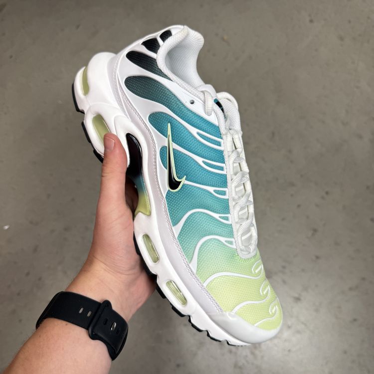 Nike Nike Air Max Plus Dusty Cactus W/Box product image
