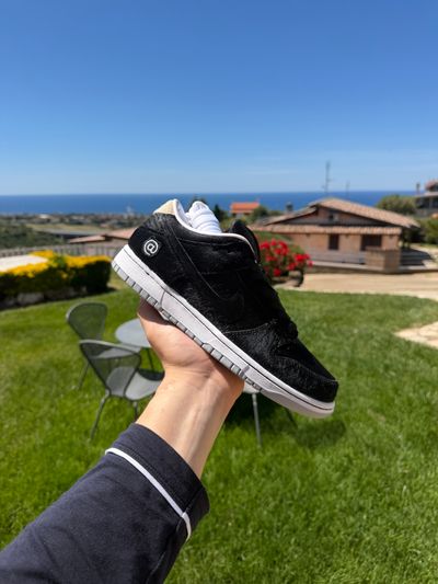 Dunk low Sb medicom Toy 42