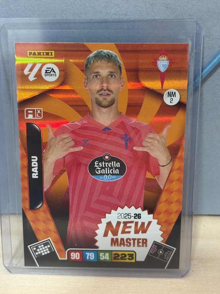 Panini Panini Football Trading Card product image