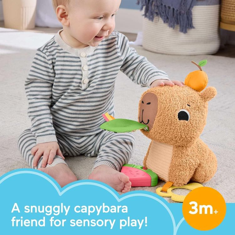 Fisher-Price Baby Sensory Toy Snuggly Snacky Capybara Plush image 4