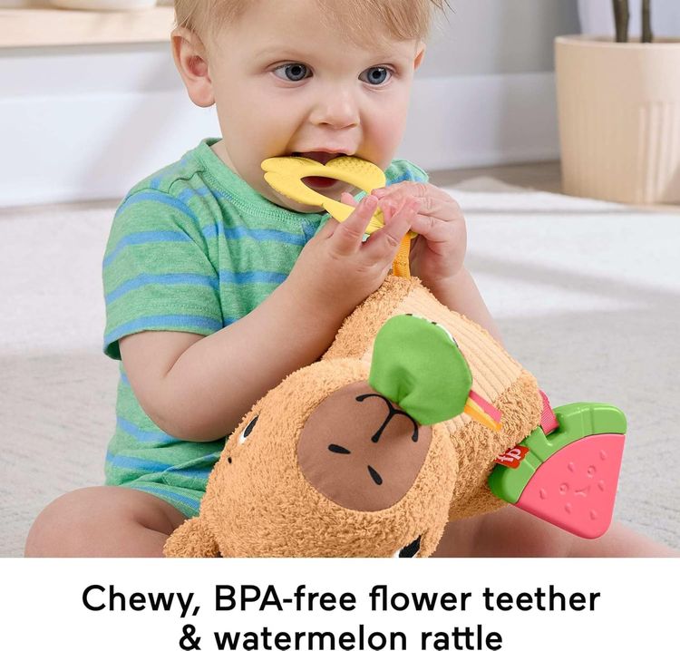 Fisher-Price Baby Sensory Toy Snuggly Snacky Capybara Plush image 3