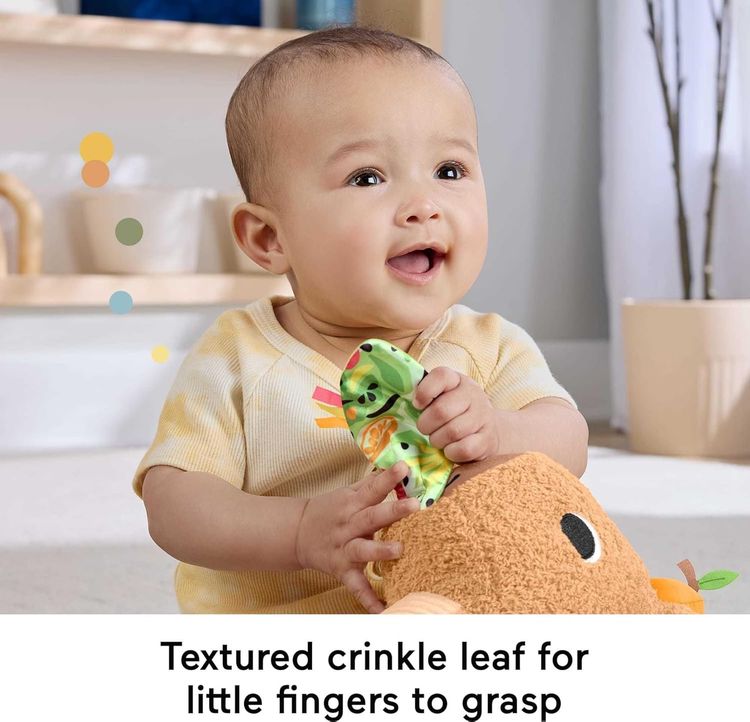 Fisher-Price Baby Sensory Toy Snuggly Snacky Capybara Plush image 2