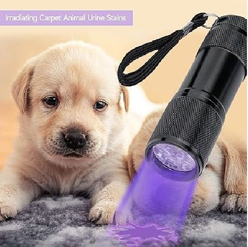 Black Uv Led Flashlight 7