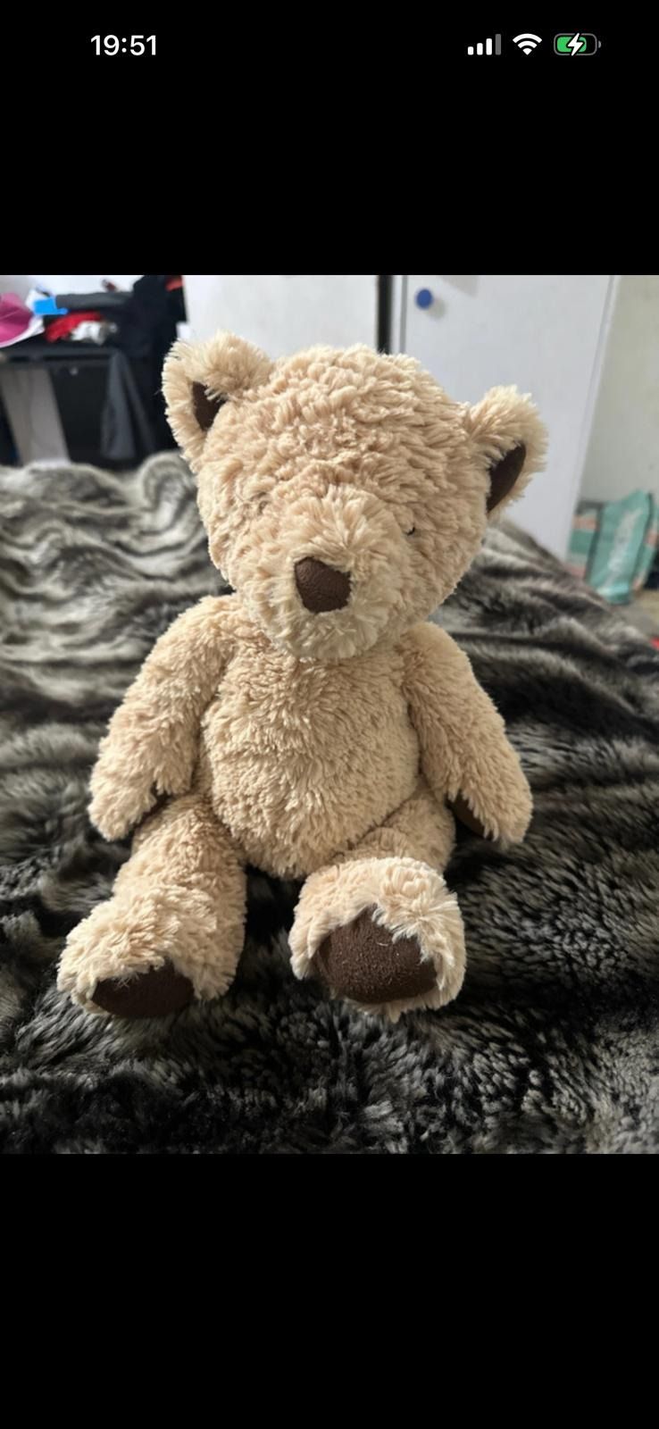 Plush Teddy Bear