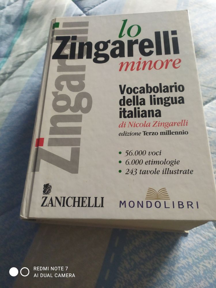 Zingarelli Lo Minore Italian Language Vocabulary Dictionary
