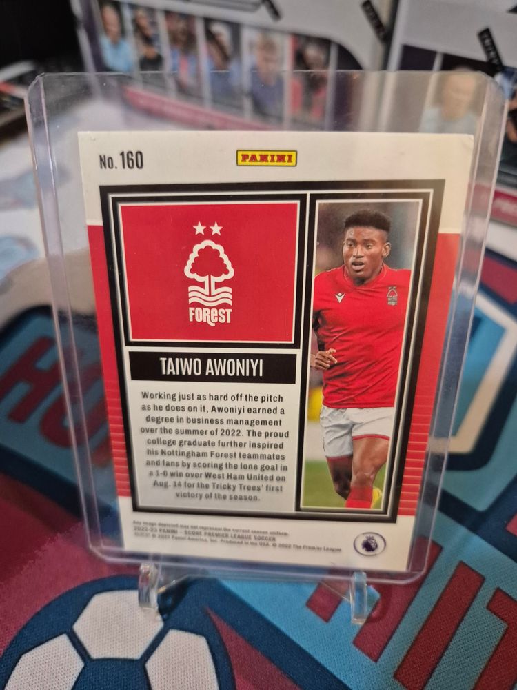 TAIWO AWONIYI /45 FOREST obraz 2