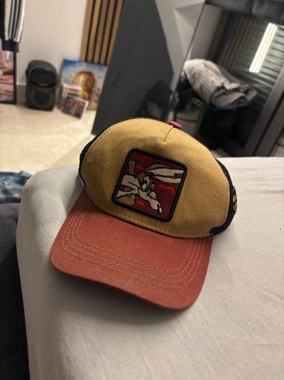 Two-Tone Cap With Embroidered Patch