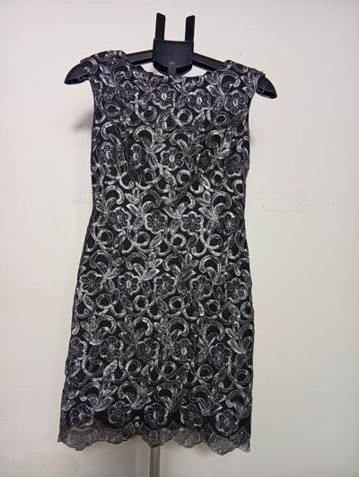 Black And Silver Lace Sleeveless Dress