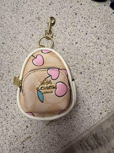 Coach Small Pouch Keychain