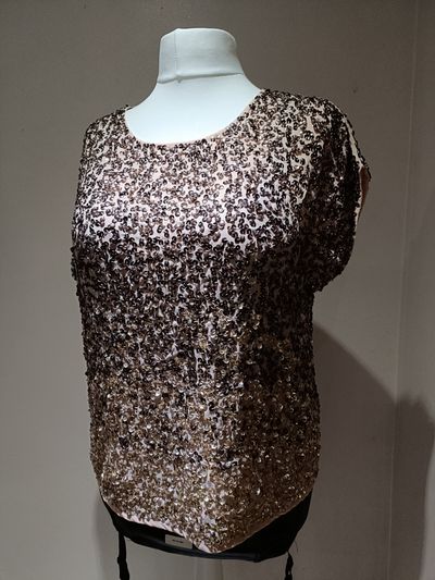 Sequin Embellished Top