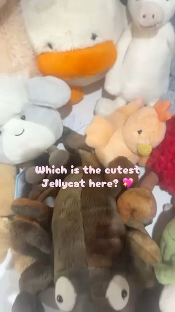Live Casual auction: Jellycat Sunday funday 🤩 jellycats, chat & giveaway by stephmitchell
