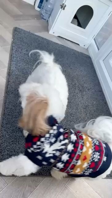 Live Womenswear auction: Mad Monday sale!! by lizzydriping