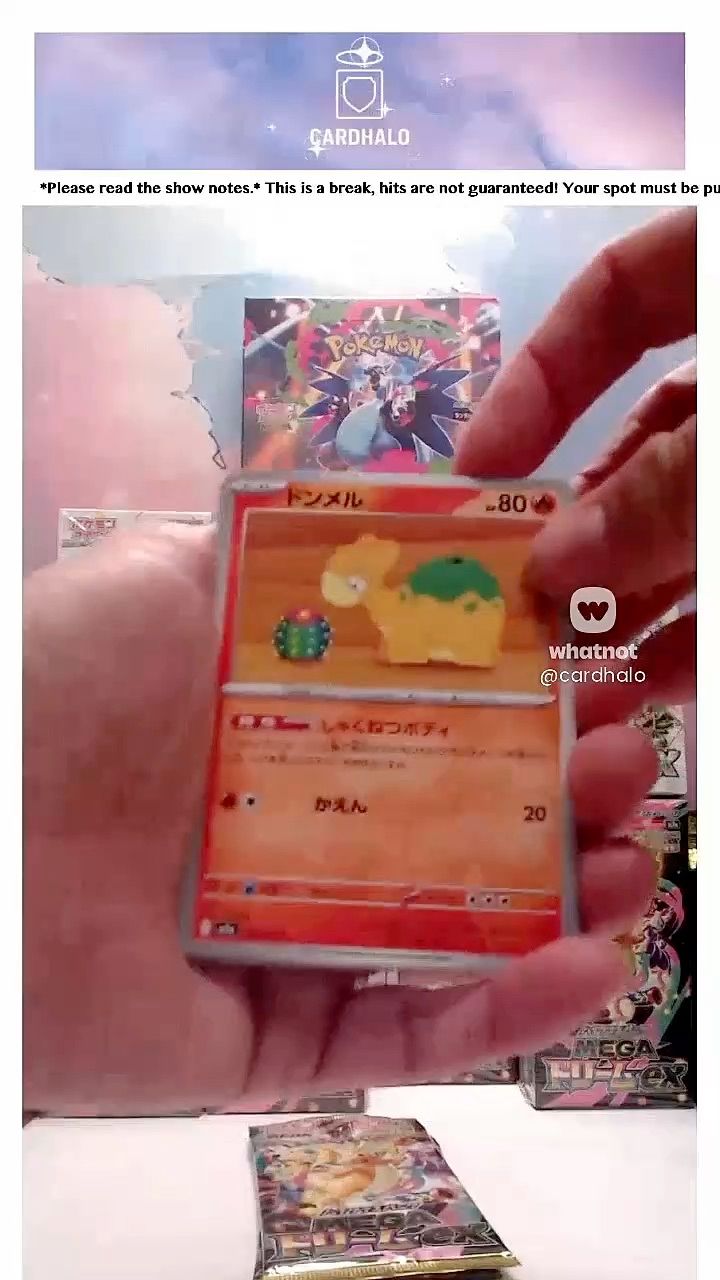 Live Trading Cards auction: Card Halo - Tilt Launch by cardhalo