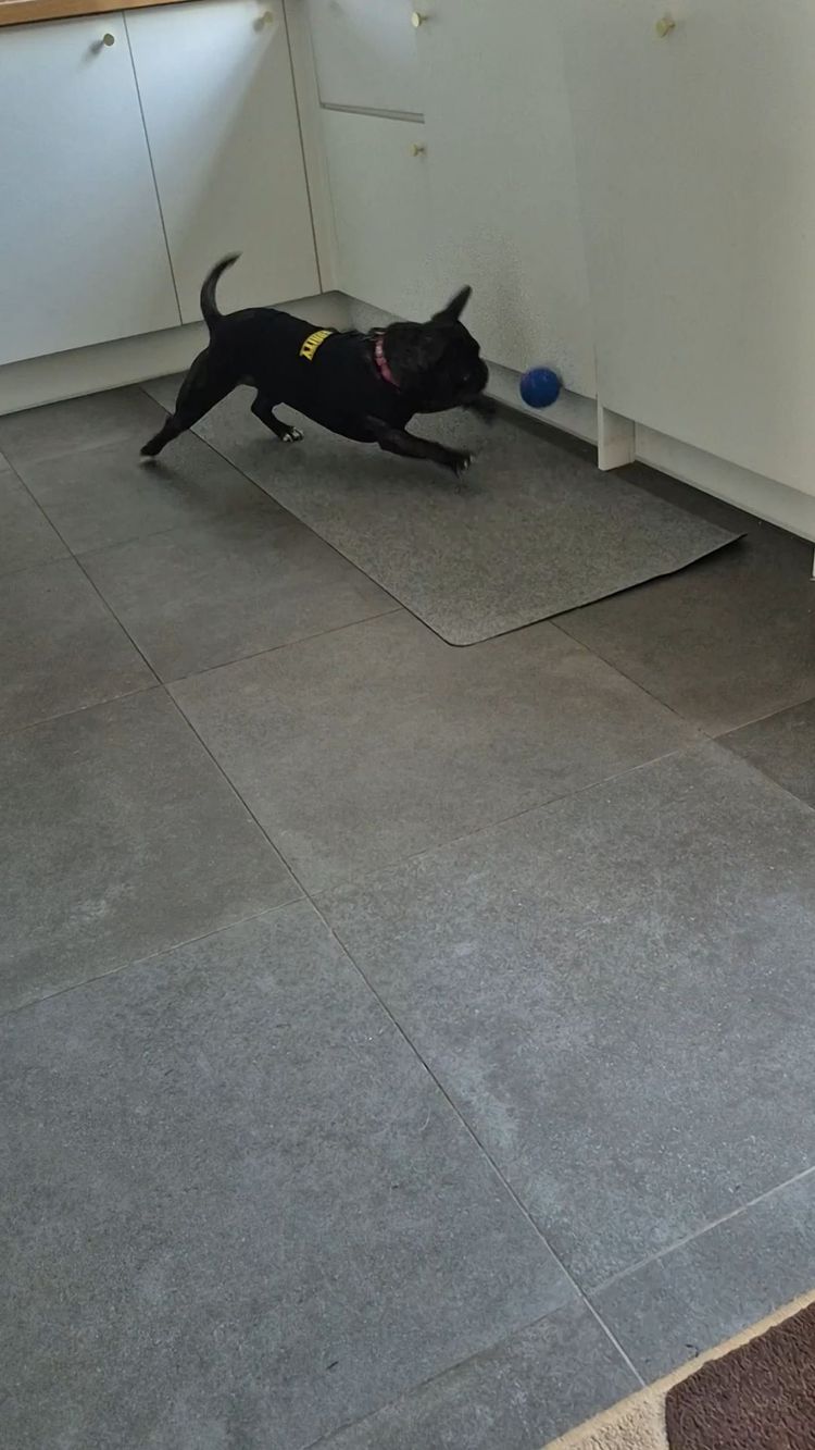 Asta in diretta Nuovo Look: Buyers Choice Bundle Womens Mens  di thrifty_threads