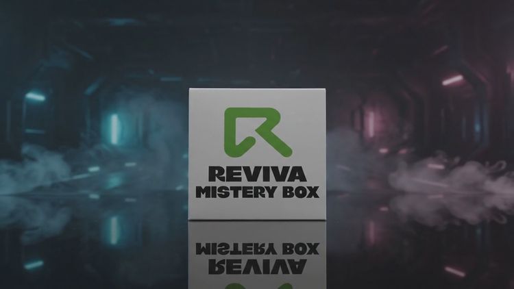 Live Stone Island auction: APRO 30 MYSTERY BOX IN DIRETTA — dentro BURBERRY, STONE ISLAND, D&G e tanto altro a 30€  by revivashop