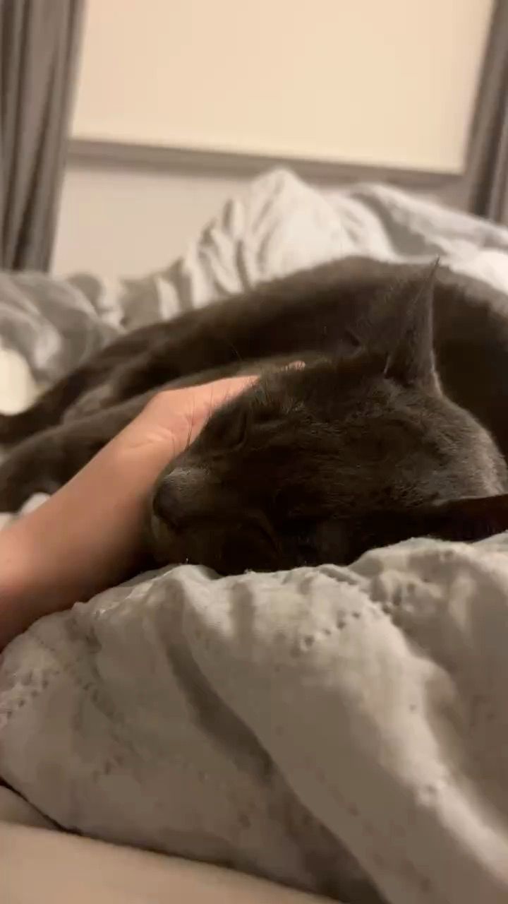 Live Minimalist auction: Authentic coach bag auction by danitee