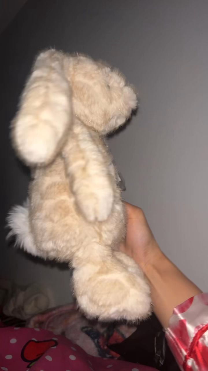 Live Toys auction: Jellycats  by lemzzinno