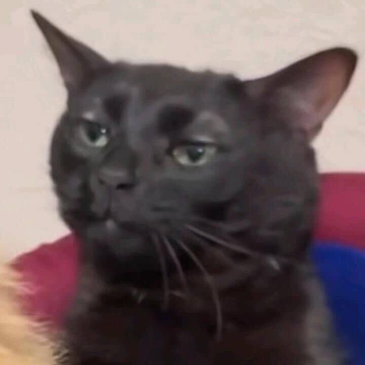Profile picture of rxe
