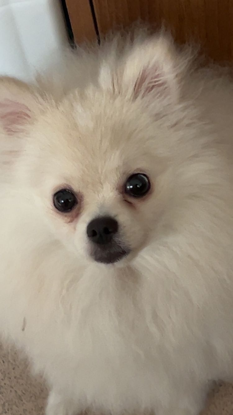 mariashay2024 - seller on Tilt