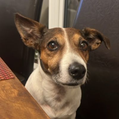 Profile picture of vladik147