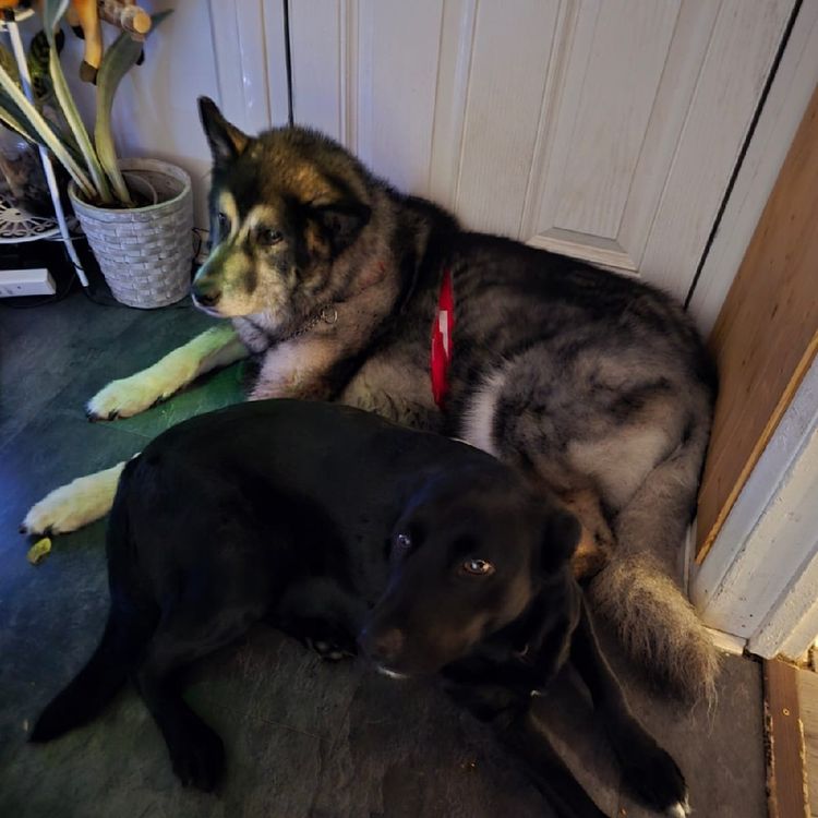 Profile picture of jacobf45