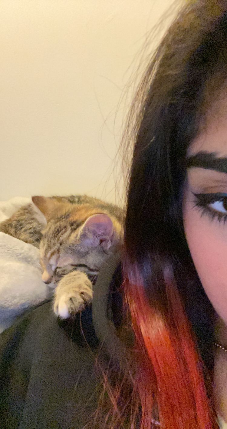 Profile picture of lemzzinno