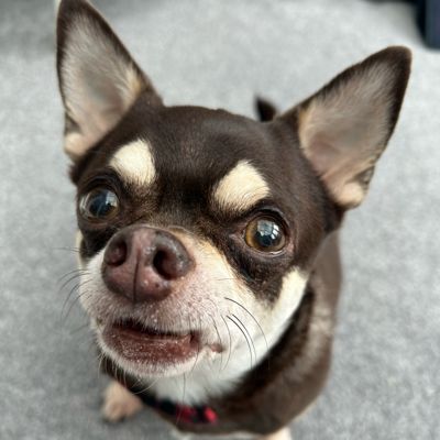 Profile picture of beautyfrenzy