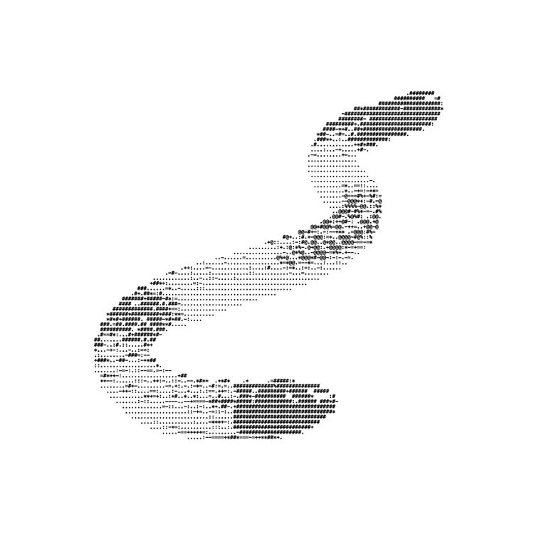 Profile picture of skirtworm