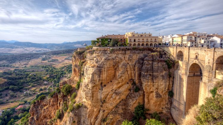 Profile picture of whitevault101