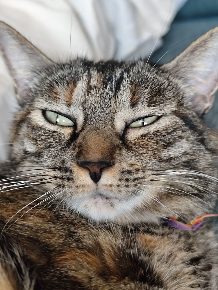 Profile picture of pangeaseller