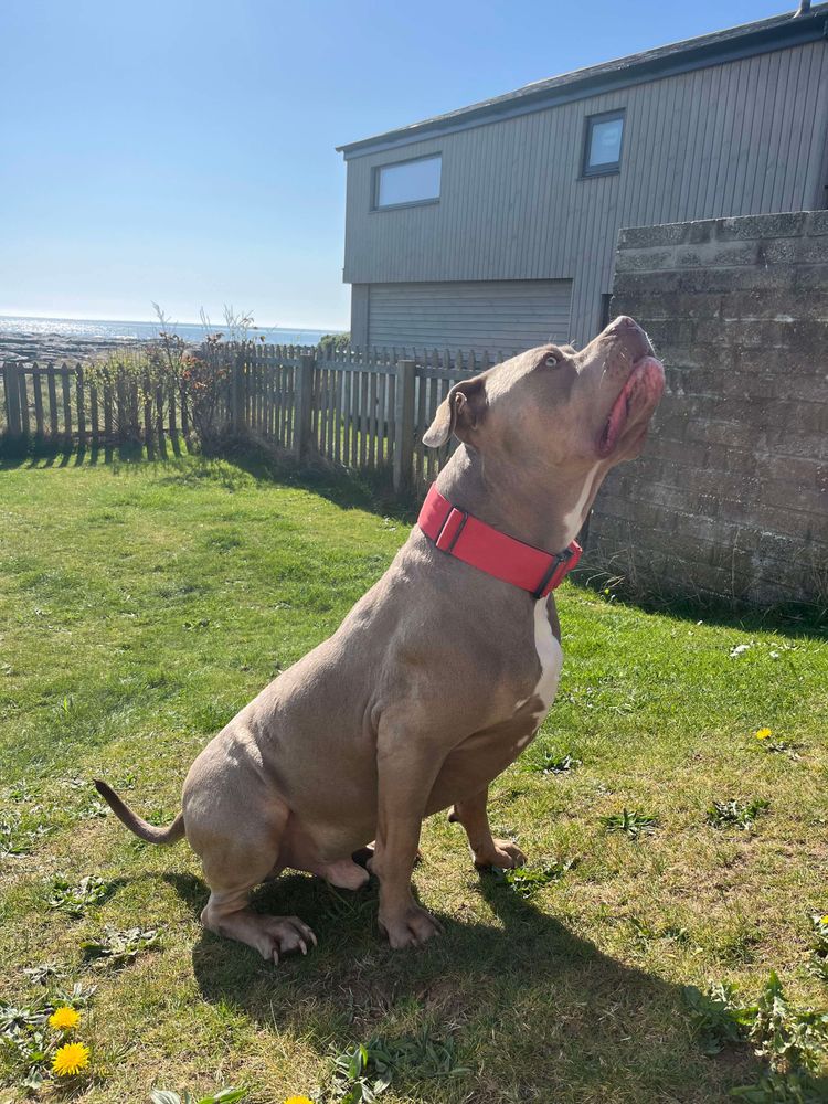 Profile picture of zardl33