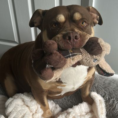 Profile picture of ladycee75