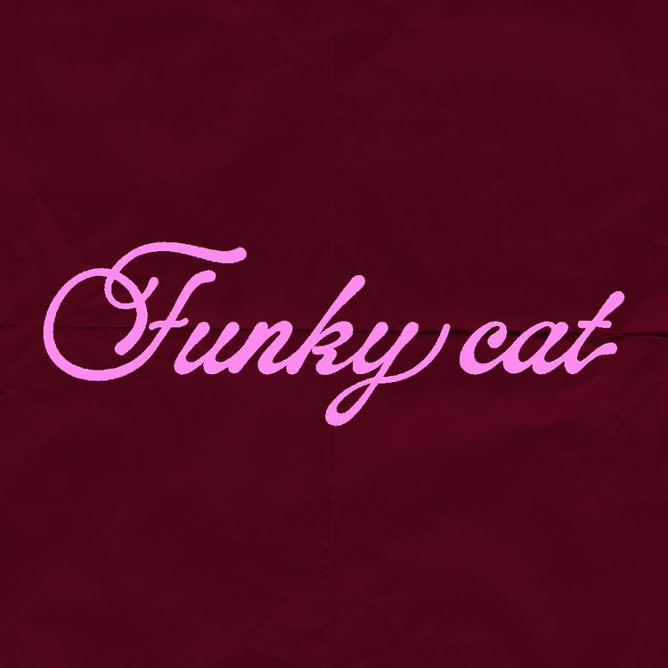 Profile picture of funkycat