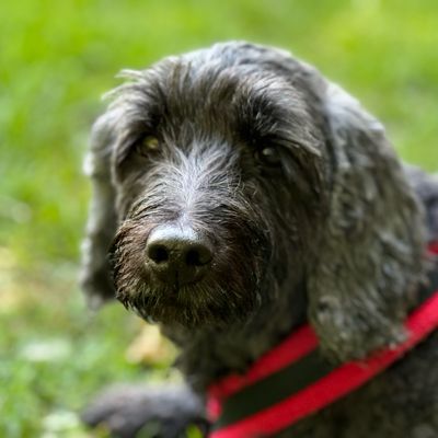 Profile picture of paula5836